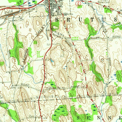 United States Geological Survey Weedsport, NY (1954, 62500-Scale) digital map