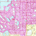 United States Geological Survey Weeki Wachee Spring, FL (1954, 24000-Scale) digital map