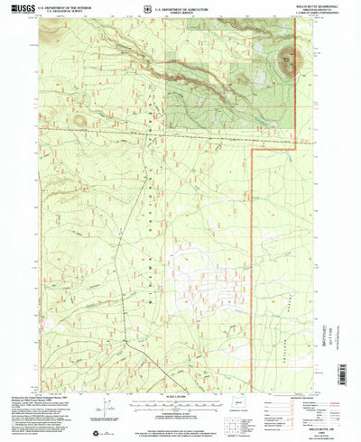 United States Geological Survey Welch Butte, OR (1999, 24000-Scale) digital map