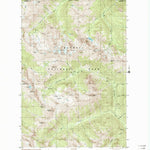 United States Geological Survey Wellesley Peak, WA (1999, 24000-Scale) digital map