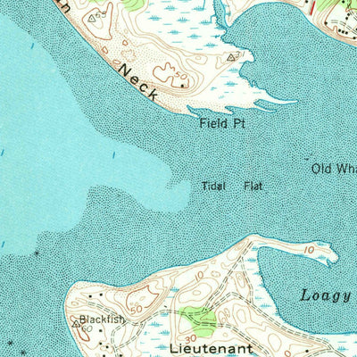 United States Geological Survey Wellfleet, MA (1958, 24000-Scale) digital map