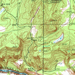 United States Geological Survey Wellpinit, WA (1953, 62500-Scale) digital map
