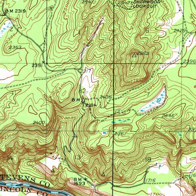United States Geological Survey Wellpinit, WA (1953, 62500-Scale) digital map