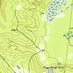 United States Geological Survey Wells SW, TX (1951, 24000-Scale) digital map