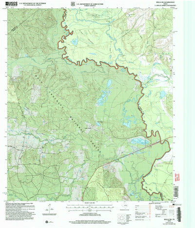 United States Geological Survey Wells SW, TX (2004, 24000-Scale) digital map