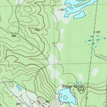 United States Geological Survey Wells SW, TX (2004, 24000-Scale) digital map