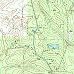 United States Geological Survey Wells, TX (2004, 24000-Scale) digital map