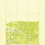 United States Geological Survey Wellston, MI (1933, 31680-Scale) digital map