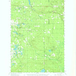 United States Geological Survey Wellston, MI (1957, 62500-Scale) digital map