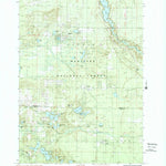 United States Geological Survey Wellston, MI (1987, 24000-Scale) digital map