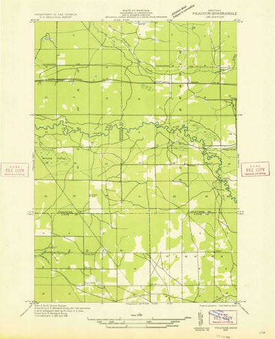 United States Geological Survey Wellston NE, MI (1933, 31680-Scale) digital map