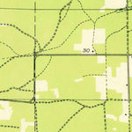 United States Geological Survey Wellston NE, MI (1933, 31680-Scale) digital map