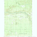 United States Geological Survey Wellston NE, MI (1987, 24000-Scale) digital map