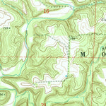 United States Geological Survey Wellsville, MO (1973, 24000-Scale) digital map