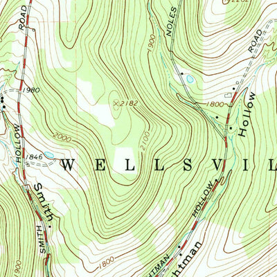 United States Geological Survey Wellsville North, NY (1965, 24000-Scale) digital map