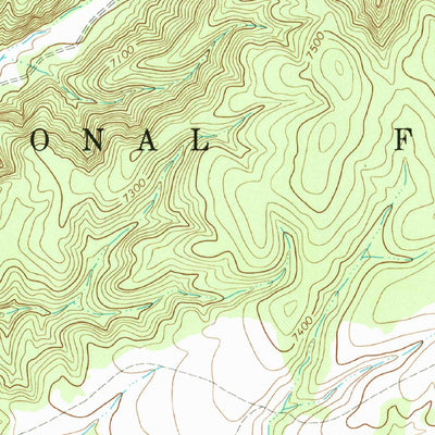 United States Geological Survey Welty Hill, NM (1964, 24000-Scale) digital map