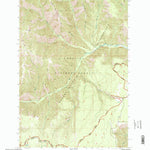 United States Geological Survey Wenaha Forks, OR-WA (1995, 24000-Scale) digital map