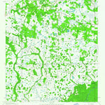 United States Geological Survey Wesley Chapel, FL (1944, 24000-Scale) digital map