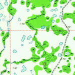 United States Geological Survey Wesley Chapel, FL (1944, 24000-Scale) digital map