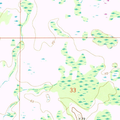 United States Geological Survey Wesley Chapel, FL (1973, 24000-Scale) digital map