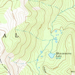 United States Geological Survey West Fork Lake, CO (1962, 24000-Scale) digital map