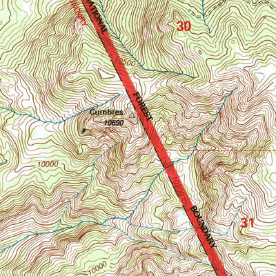 United States Geological Survey West Fork Rio Brazos, NM-CO (1995, 24000-Scale) digital map