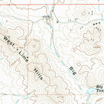 United States Geological Survey West Lime Hills, NM (1965, 24000-Scale) digital map
