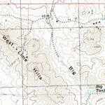 United States Geological Survey West Lime Hills, NM (1996, 24000-Scale) digital map