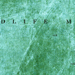 United States Geological Survey West Of Deem City, FL (1974, 24000-Scale) digital map