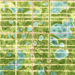 United States Geological Survey West Of Delta, FL (1971, 24000-Scale) digital map