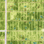 United States Geological Survey West Of Delta, FL (1971, 24000-Scale) digital map