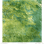 United States Geological Survey West Of Horseshoe Head, FL (1974, 24000-Scale) digital map