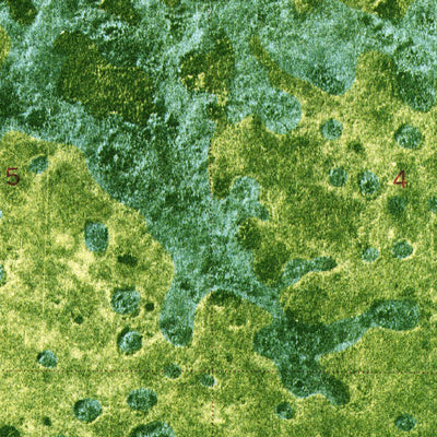 United States Geological Survey West Of Horseshoe Head, FL (1974, 24000-Scale) digital map