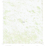 United States Geological Survey West of Horseshoe Head, FL (2021, 24000-Scale) digital map