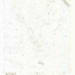 United States Geological Survey West Of Salt Well, TX (1983, 24000-Scale) digital map