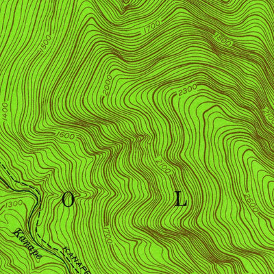 United States Geological Survey West Shokan, NY (1942, 24000-Scale) digital map