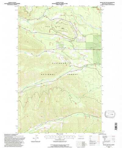 United States Geological Survey Whale Buttes, MT (1994, 24000-Scale) digital map