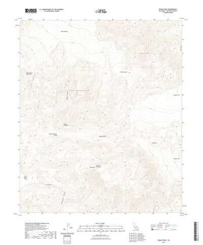 United States Geological Survey Whale Peak, CA (2021, 24000-Scale) digital map