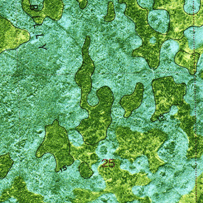 United States Geological Survey Whidden Lake, FL (1974, 24000-Scale) digital map