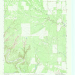 United States Geological Survey White Camp, TX (1968, 24000-Scale) digital map