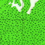 United States Geological Survey White City, FL (1944, 24000-Scale) digital map