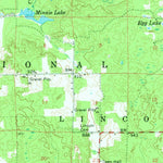 United States Geological Survey White Cloud, MI (1959, 62500-Scale) digital map