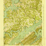 United States Geological Survey White Hollow, TN (1941, 24000-Scale) digital map
