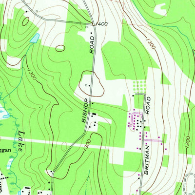 United States Geological Survey White Lake, NY (1967, 24000-Scale) digital map