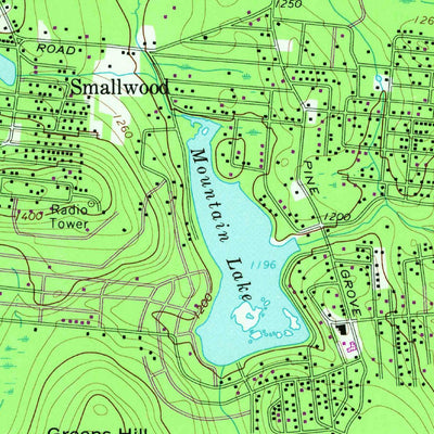 United States Geological Survey White Lake, NY (1967, 24000-Scale) digital map