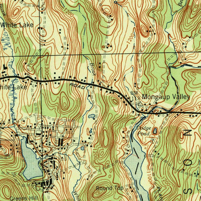 United States Geological Survey White Lake, NY-PA (1944, 62500-Scale) digital map