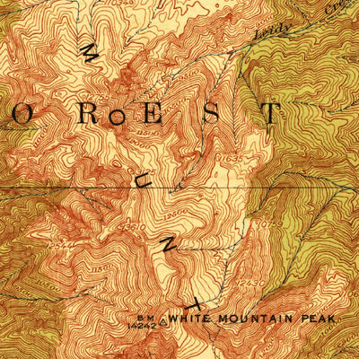 United States Geological Survey White Mountain, CA-NV (1917, 125000-Scale) digital map