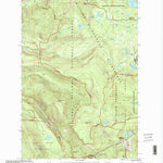 United States Geological Survey White Pass, WA (1998, 24000-Scale) digital map