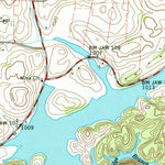 United States Geological Survey White Pine, TN (1961, 24000-Scale) digital map