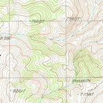 United States Geological Survey White Top Mountain, CA (1988, 24000-Scale) digital map